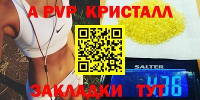 прущие грибы Ирбит