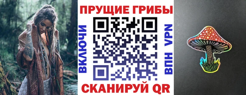 купить   kraken зеркало  Галлюциногенные грибы мухоморы  Лениногорск 