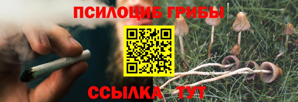 Галлюциногенные грибы GOLDEN TEACHER Лениногорск