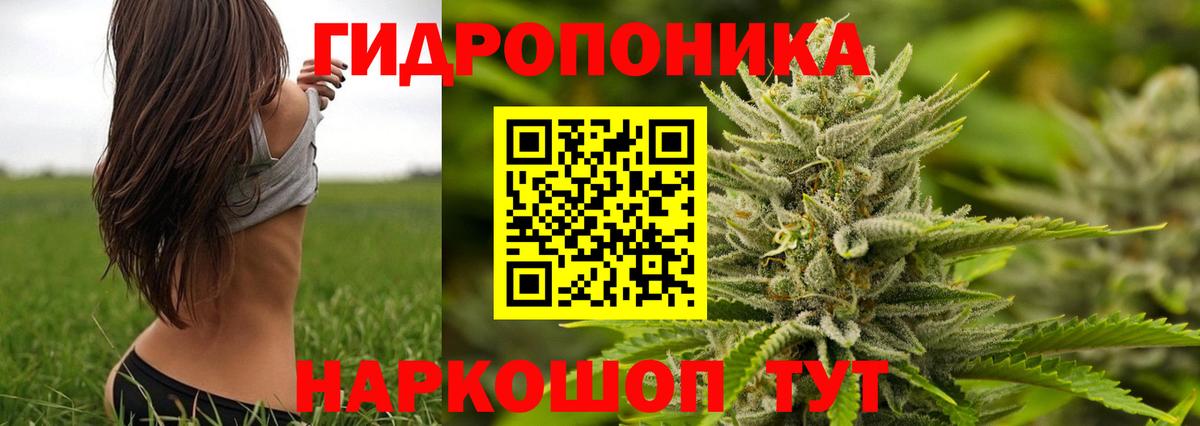 Марихуана марихуана Лениногорск